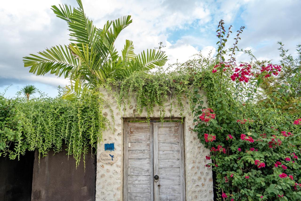 Villa Kingfisher Lembongan Zewnętrze zdjęcie